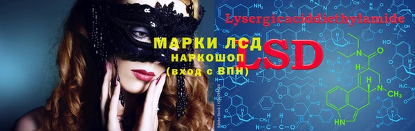 спайс Ладушкин