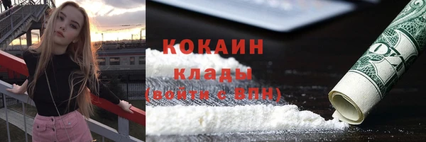 спайс Ладушкин