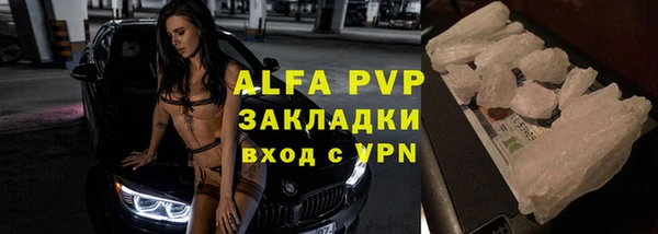 спайс Ладушкин