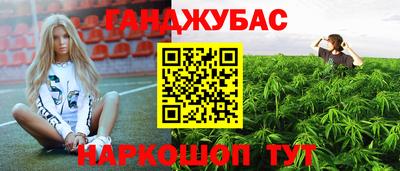 бошки Бийск