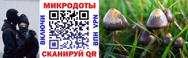 Галлюциногенные грибы Cubensis  Нарьян-Мар 