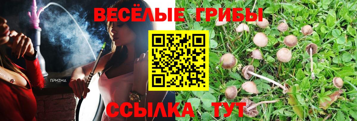 Галлюциногенные грибы ЛСД  где купить наркоту  Нарьян-Мар  Галлюциногенные грибы GOLDEN TEACHER  Вход с VPN 
