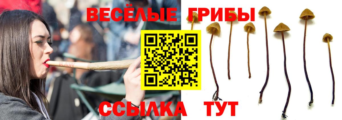Псилоцибиновые грибы прущие грибы Нарьян-Мар