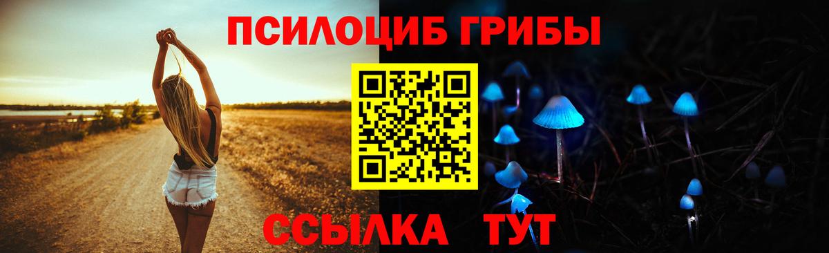 Галлюциногенные грибы Cubensis  Нарьян-Мар 