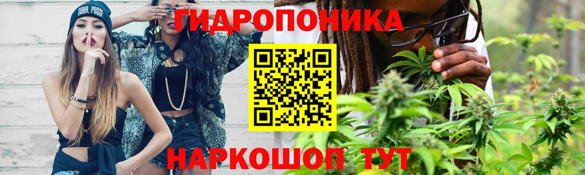 Шишки марихуана Ganja  Шишки марихуана марихуана  Бошки марихуана Bruce Banner  Нарьян-Мар  Вход с VPN 